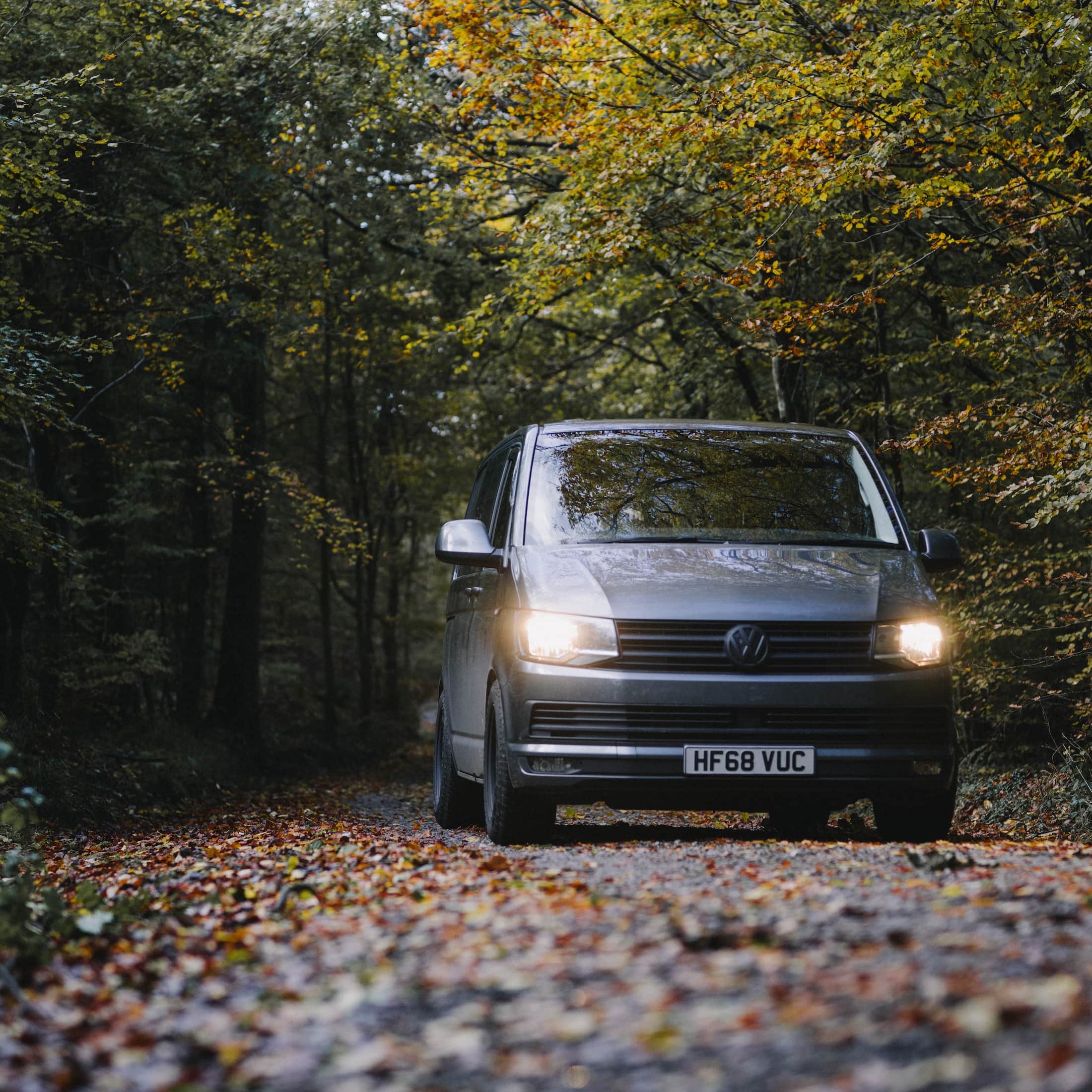 Grey T6 Kombi shown in the woods
