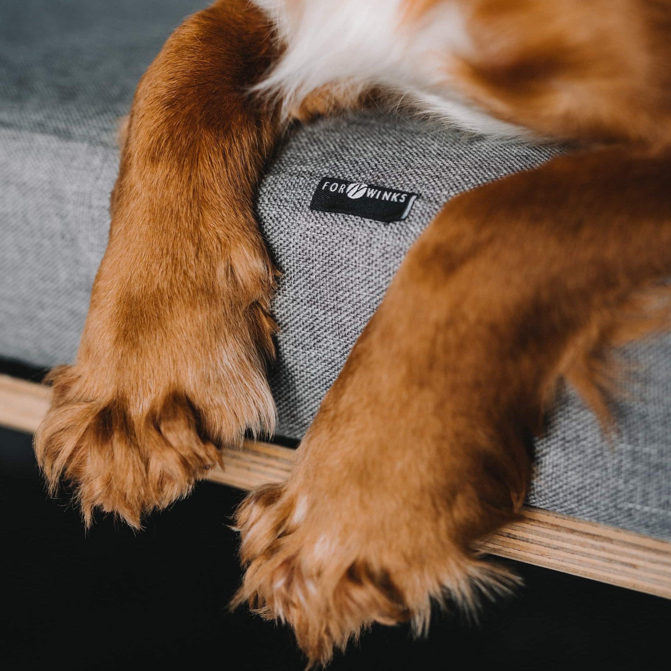 Dog resting on a Grey marl mattress for Volkswagen kombis and panel vans